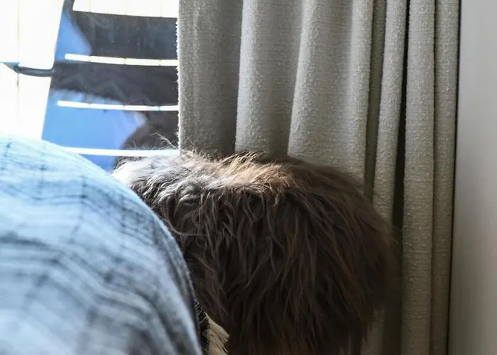 Ariondaz Campanule - Superbe Familial Mae-8354 Appartement *