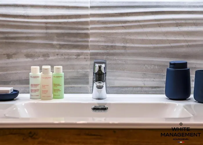 Ariondaz Campanule - Superbe Familial Mae-8354 Courchevel